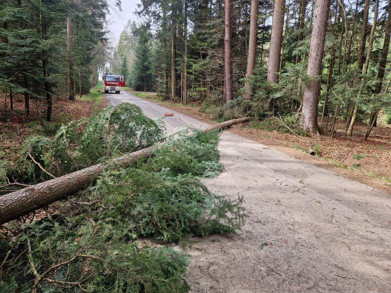 🚒🌳🪓 Wir sind immer zur Stelle, wenn Bäume unsere Straßen blockieren 🚒🌳🪓