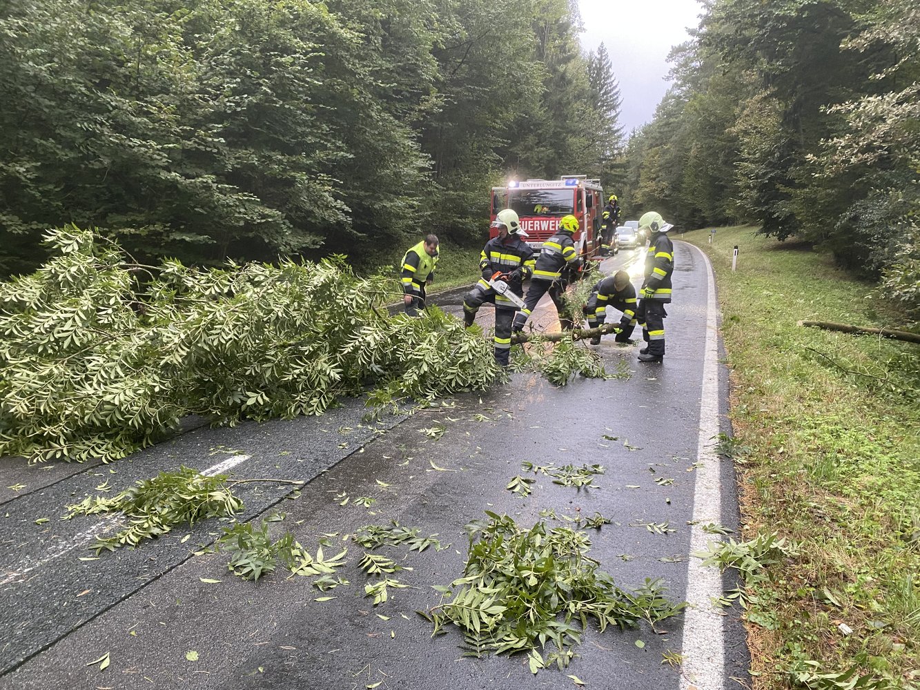 🚒🌳🪓 Weitere Bäume auf der Fahrbahn 🚒🌳🪓